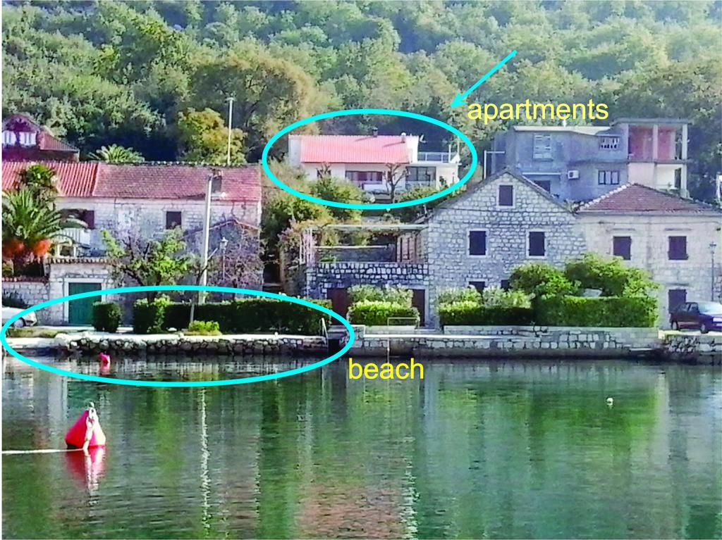 Apartment Cizek Kotor Quarto foto